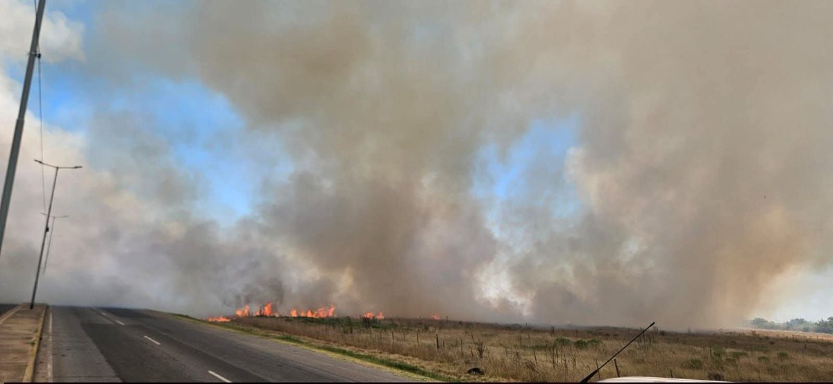 arielviano's tweet photo. Están incendiando el Congourbano para hacer tomas de tierras para los extranjeros que trae @Kicillofok . https://t.co/I8oi9zuyoh