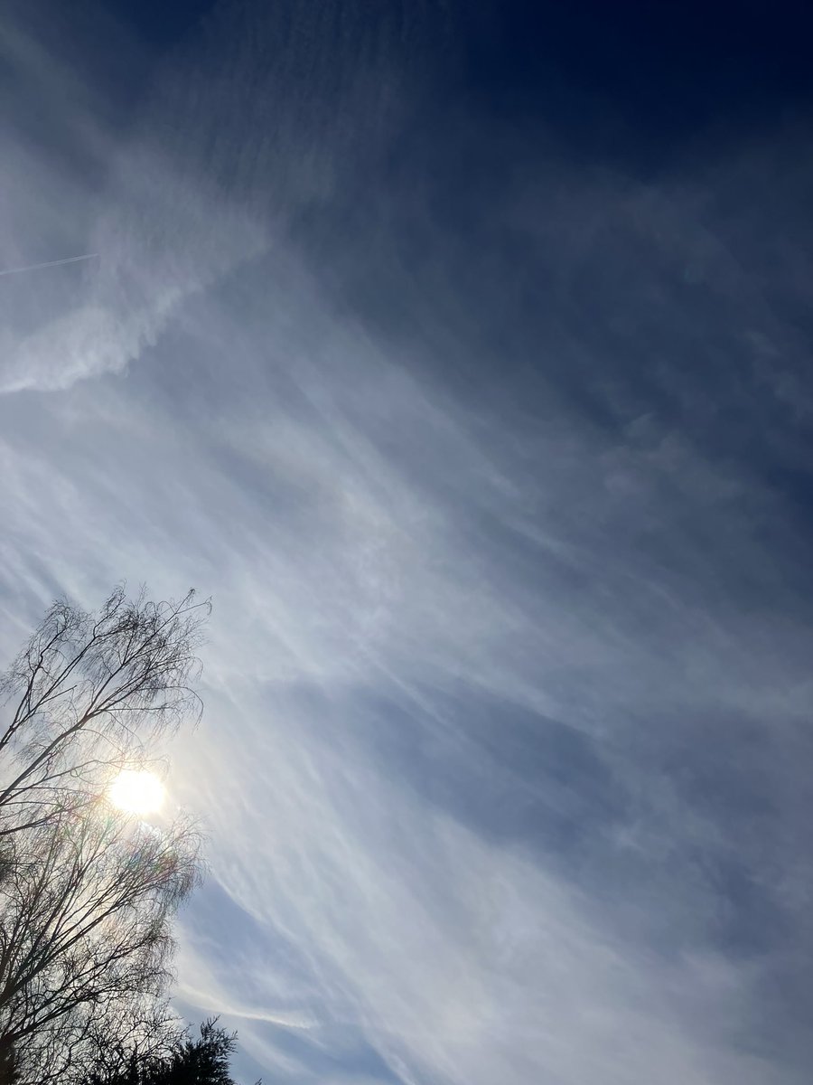 markdennison 💙 tweet media