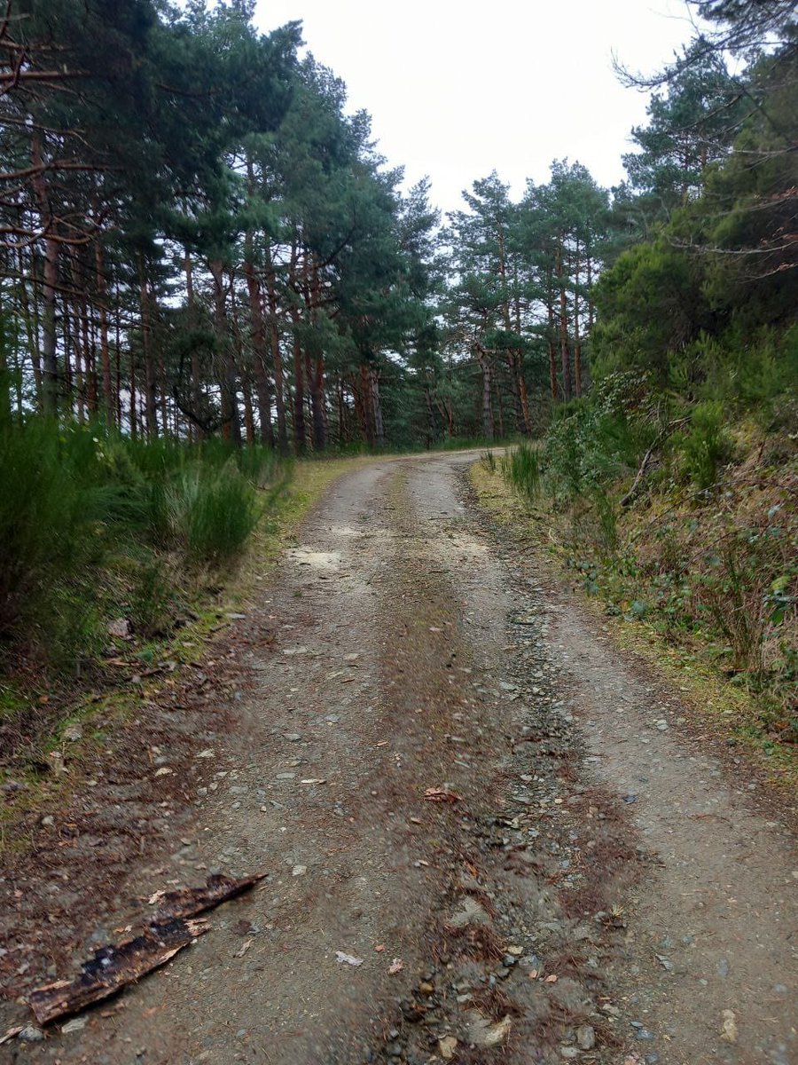 Los Agentes Forestales <a href="/lariojaorg/">Gobierno de La Rioja</a>  en la medida de sus posibilidades acometen las contingencias que encuentran en su día a día, con estas fuertes borrascas toca retirar árboles caídos que obstruyen el paso de las pistas forestales.
