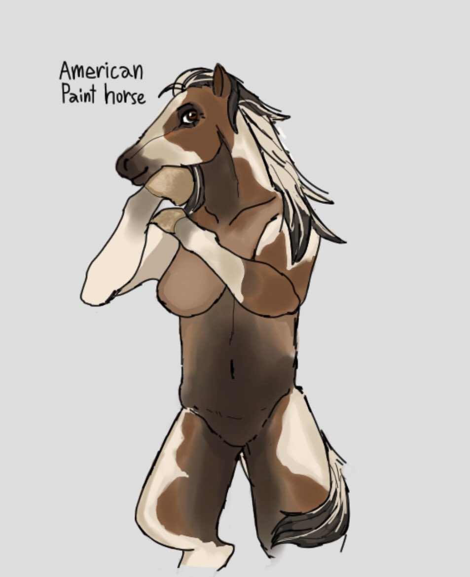 Jam_Peanutbutt's tweet photo. Horses https://t.co/dXvR54LPo6