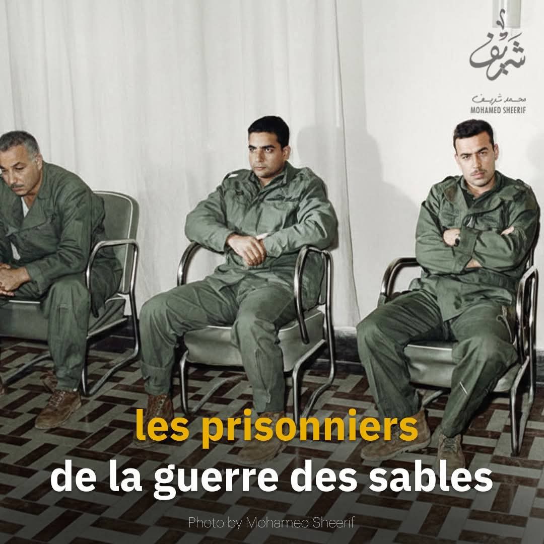 الجيش الإلكتروني الصحـراوي🎗️ tweet media