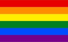 verhaoism's tweet image. SEVENTEEN'S MINGYU donates $1 to the LGBTQ+ community.

"I hope they find a cure for me and my bandmates", he states.
