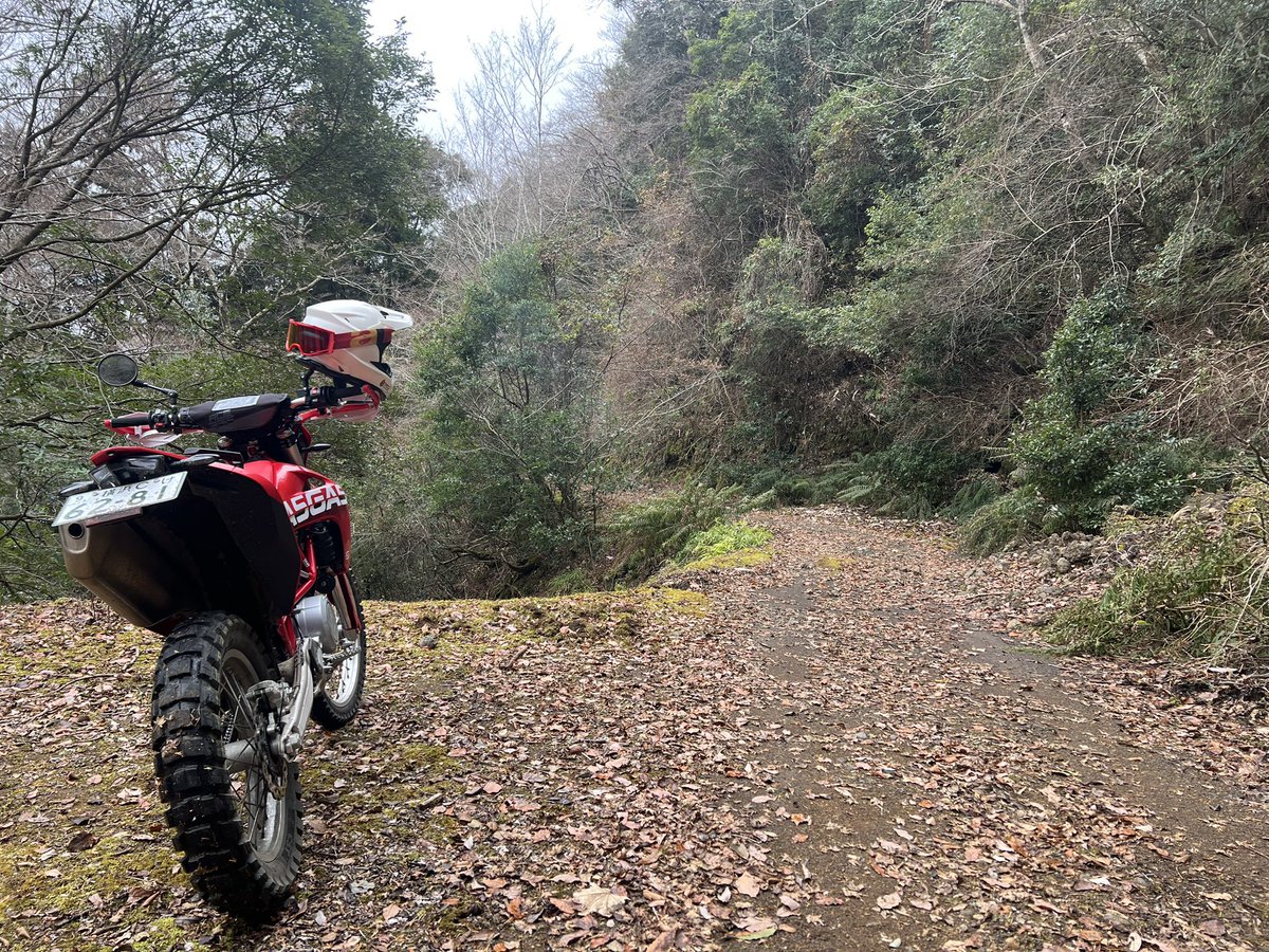 kaneyan_11149's tweet photo. バイク乗りたい（忘れてた定期

寒すぎるんよ....！！！
通勤でしか乗ってないから過去

このGASGAS2台積みはなかなか無い

#GASGAS #ES700
#オフロード 
#モタード https://t.co/EP9ioIqwe4