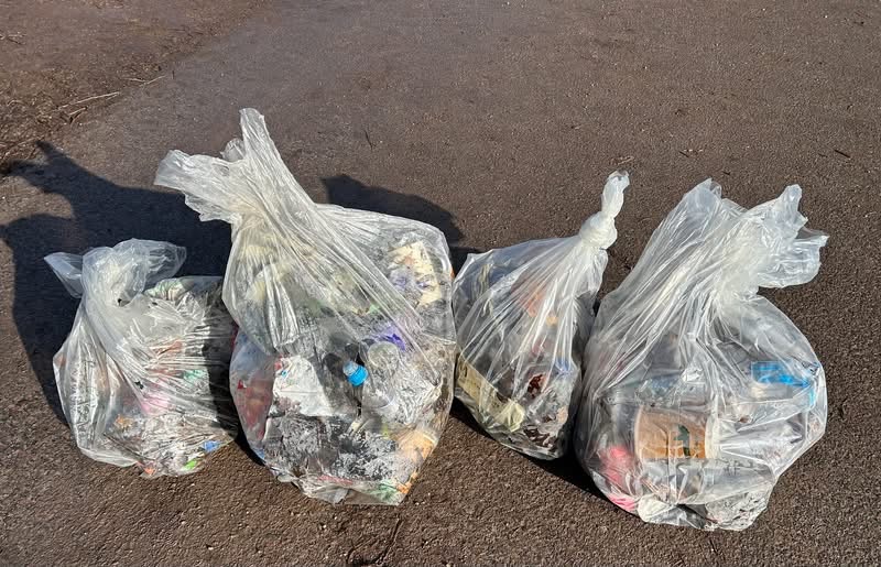 FriendsOfWollatonPark tweet media