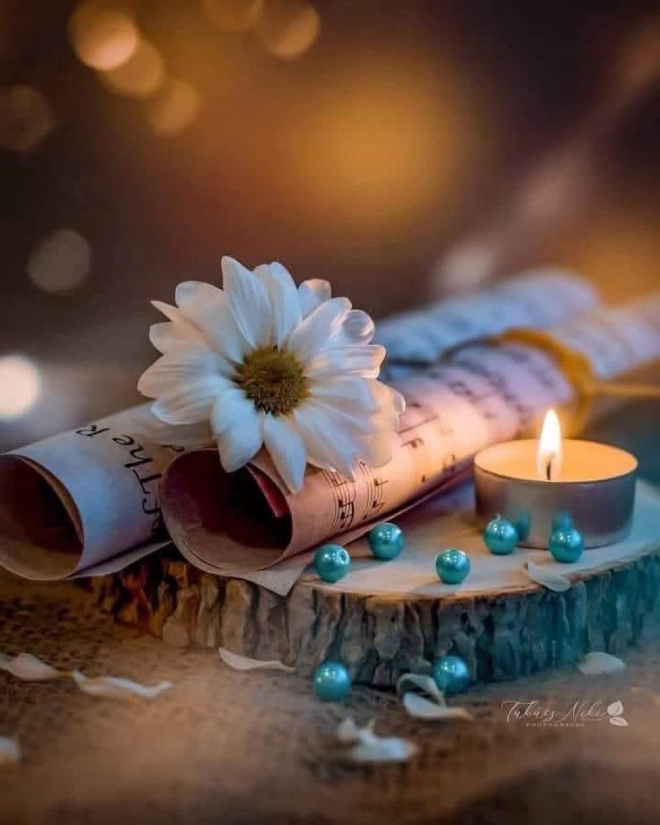 Aisha_m56's tweet photo. ندعوك ربِّ أن تصرف عن قُلوبنا الثقل والوَهن، ندعوك أن تجمع بيننا وبين ما ندعوا ، لا حِيلة لنا إلابك، ولا وِجهة لنا غيرك.🤍 https://t.co/GQDFbgdewP