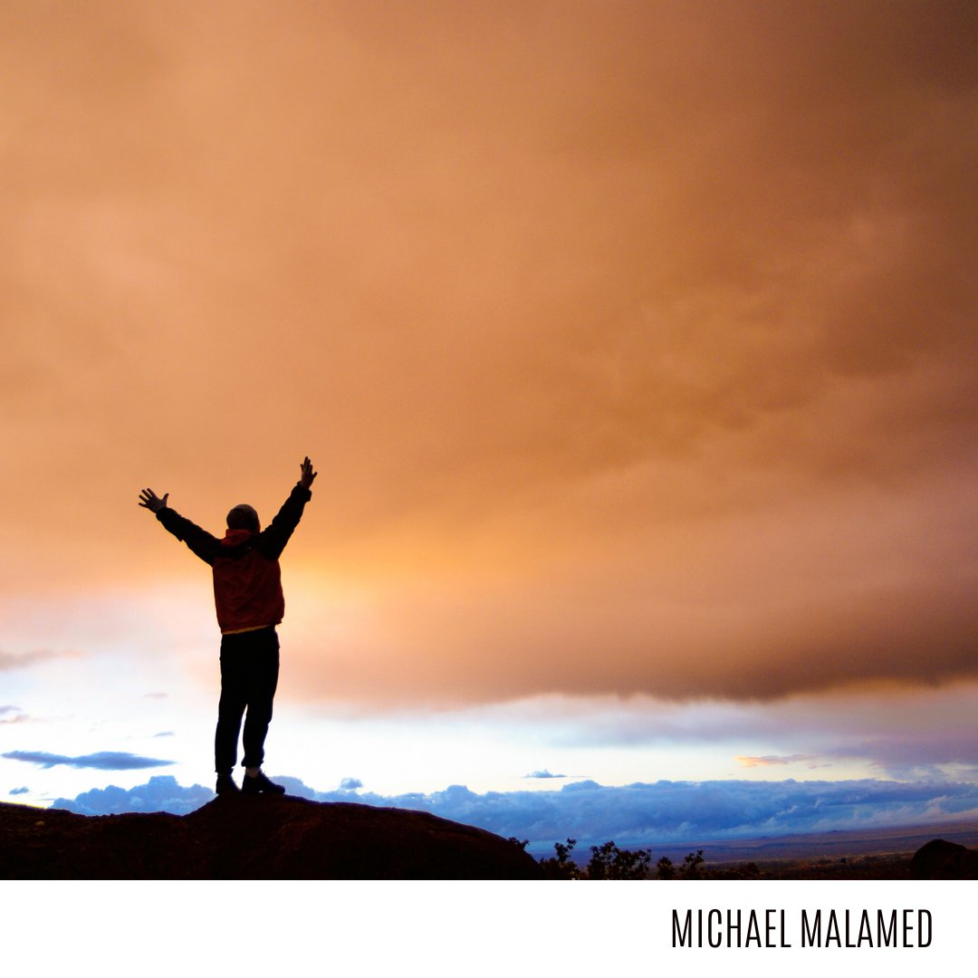 Michael Malamed tweet media