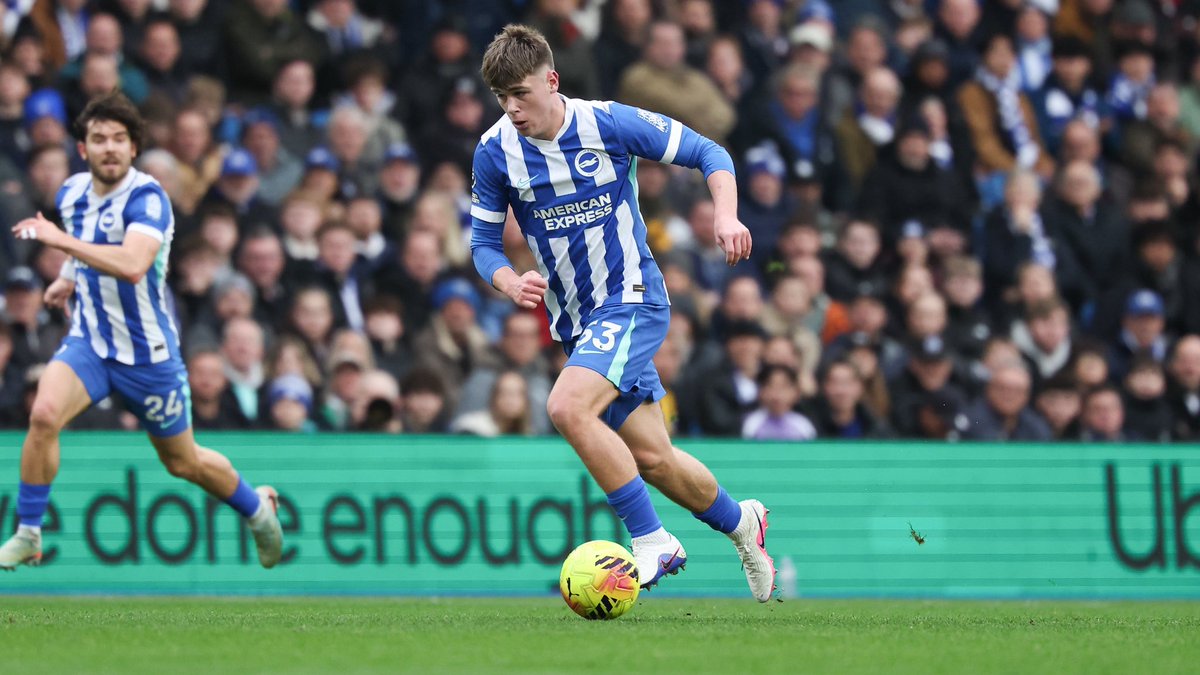 Brighton & Hove Albion Academy tweet media