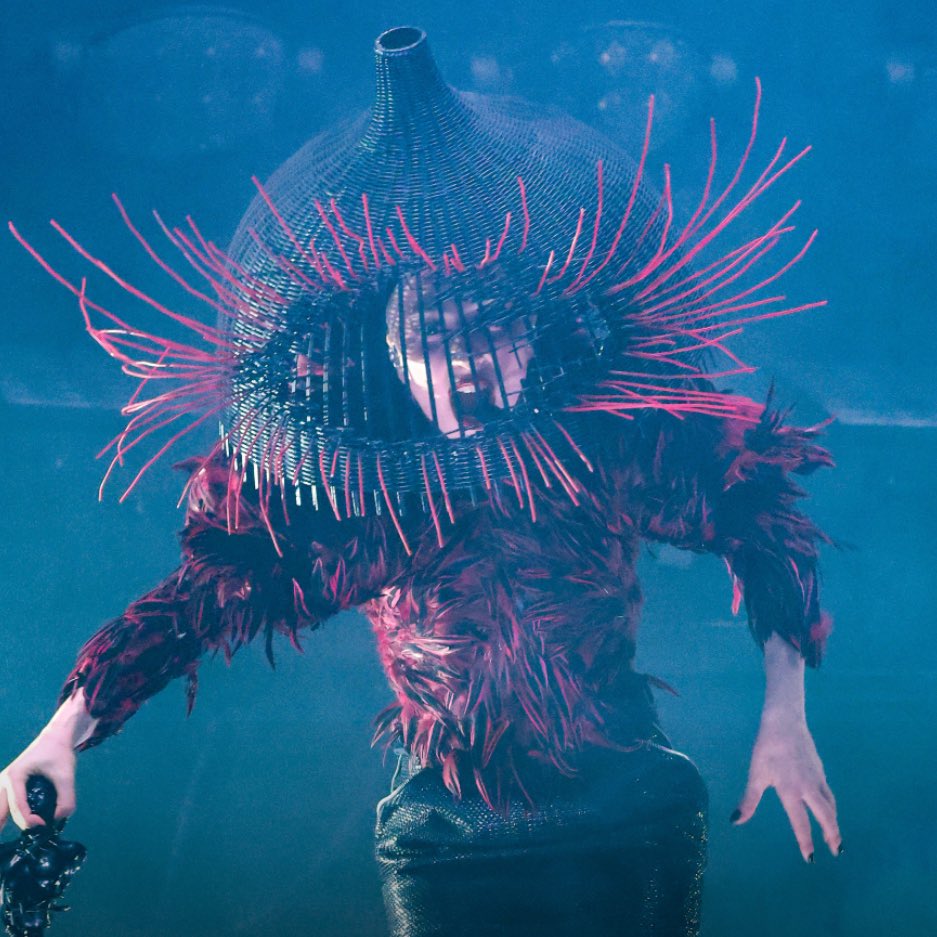 ๐ซ๐๐๐๐๐๐ tweet media