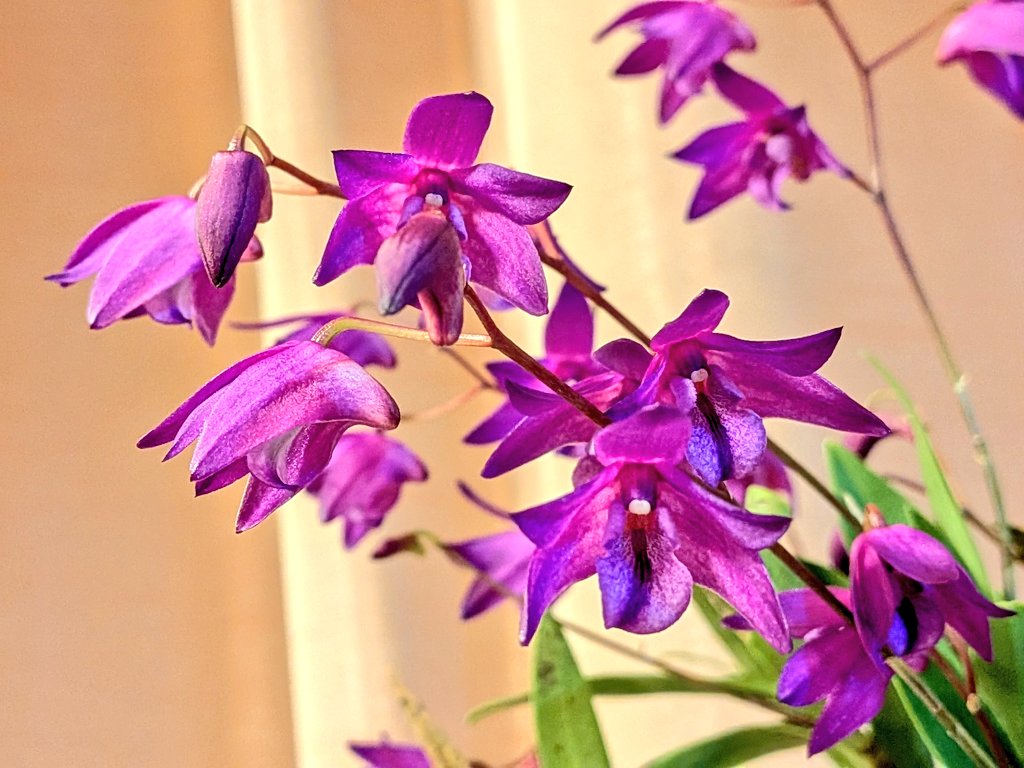 GEN (@GEN85413271) / Posts / X