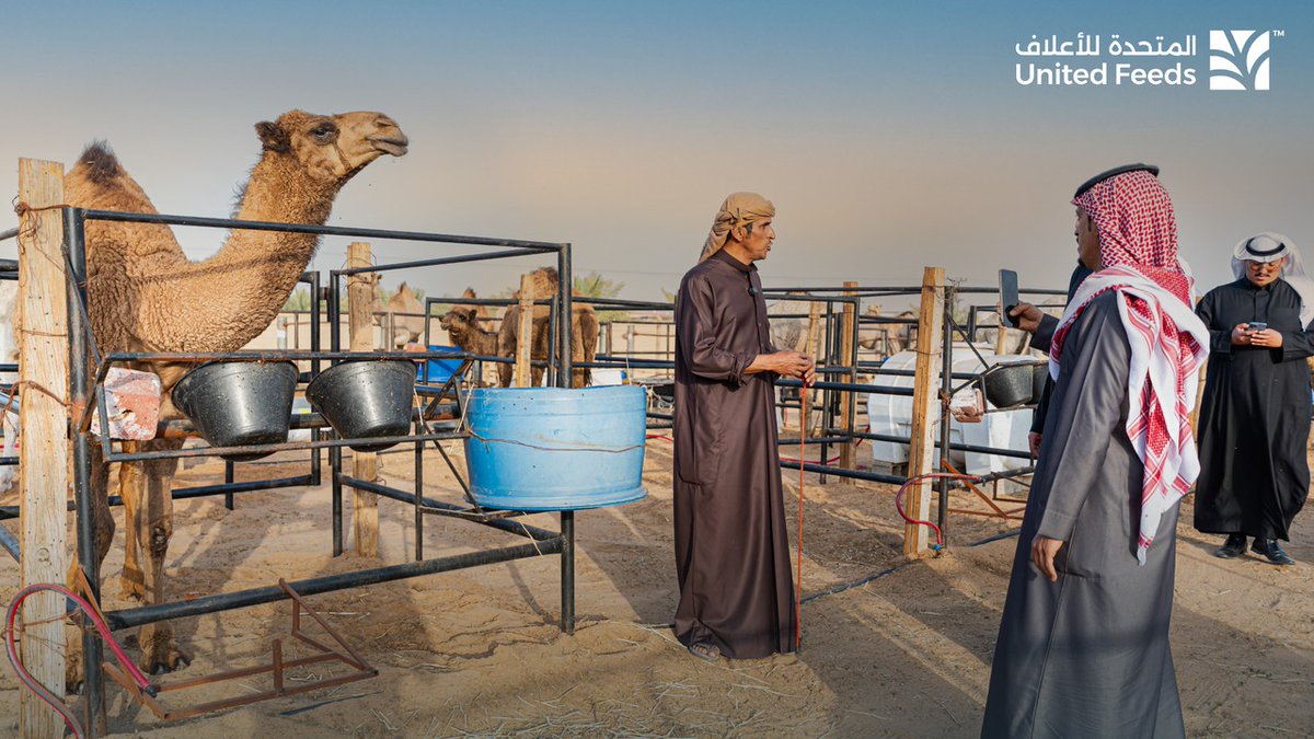 United Feeds | المتحدة للأعلاف tweet media