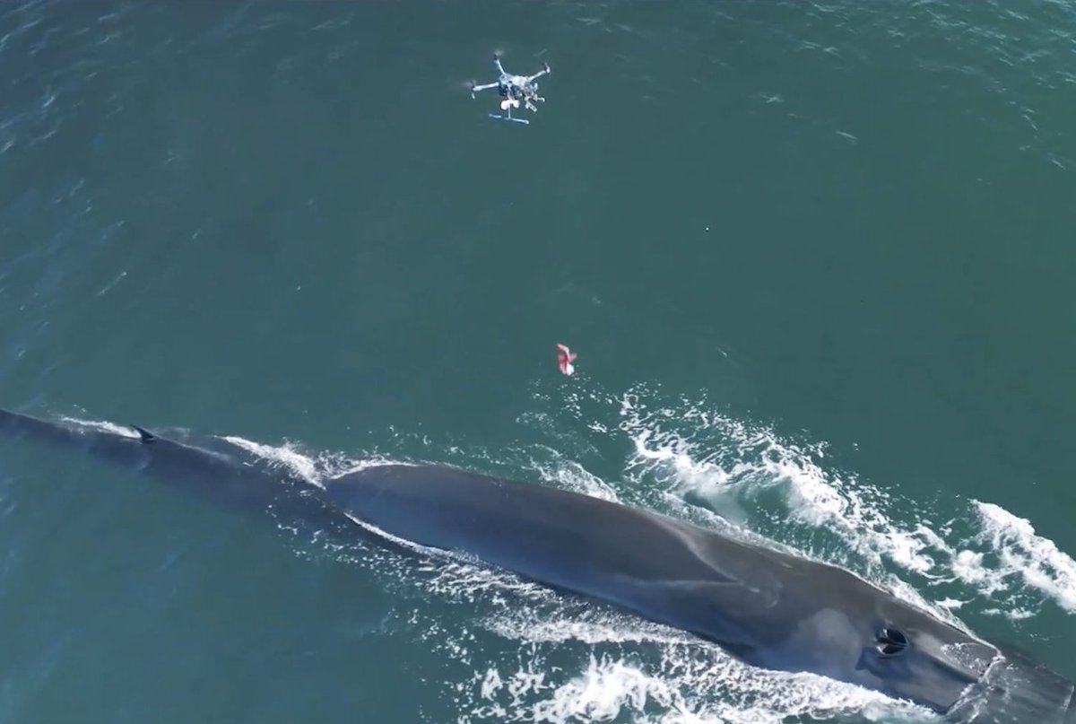 UltiMaker tweet media