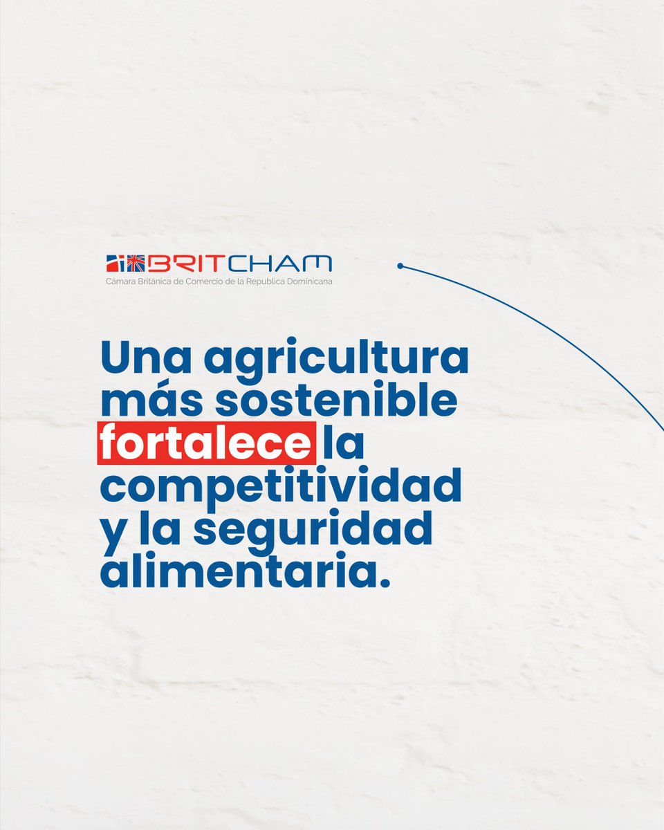 BritchamDR tweet media