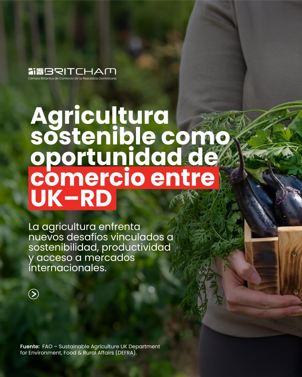 BritchamDR tweet media