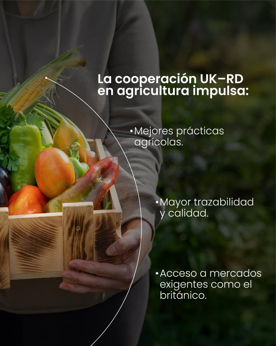 BritchamDR tweet media