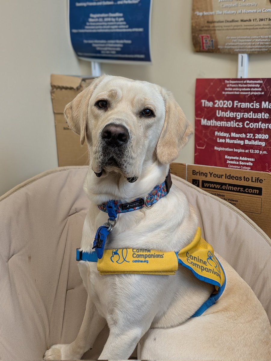 Francis Marion University Mathematics tweet media