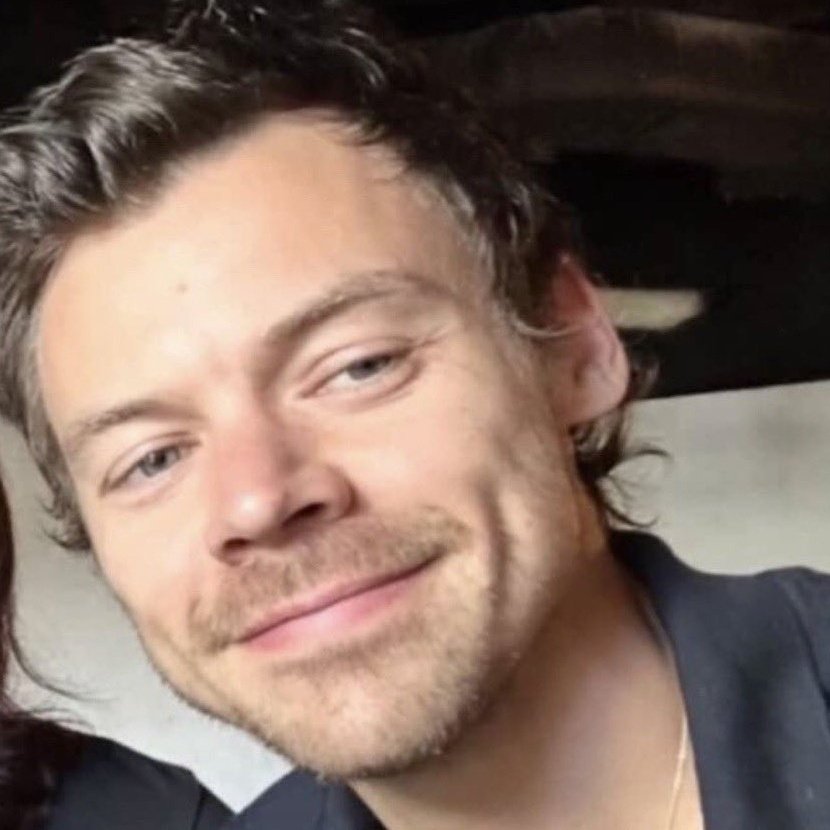 ○ solteira
○ namorando
◉ completamente apaixonada e rendida pelo sorriso de covinhas do harry styles