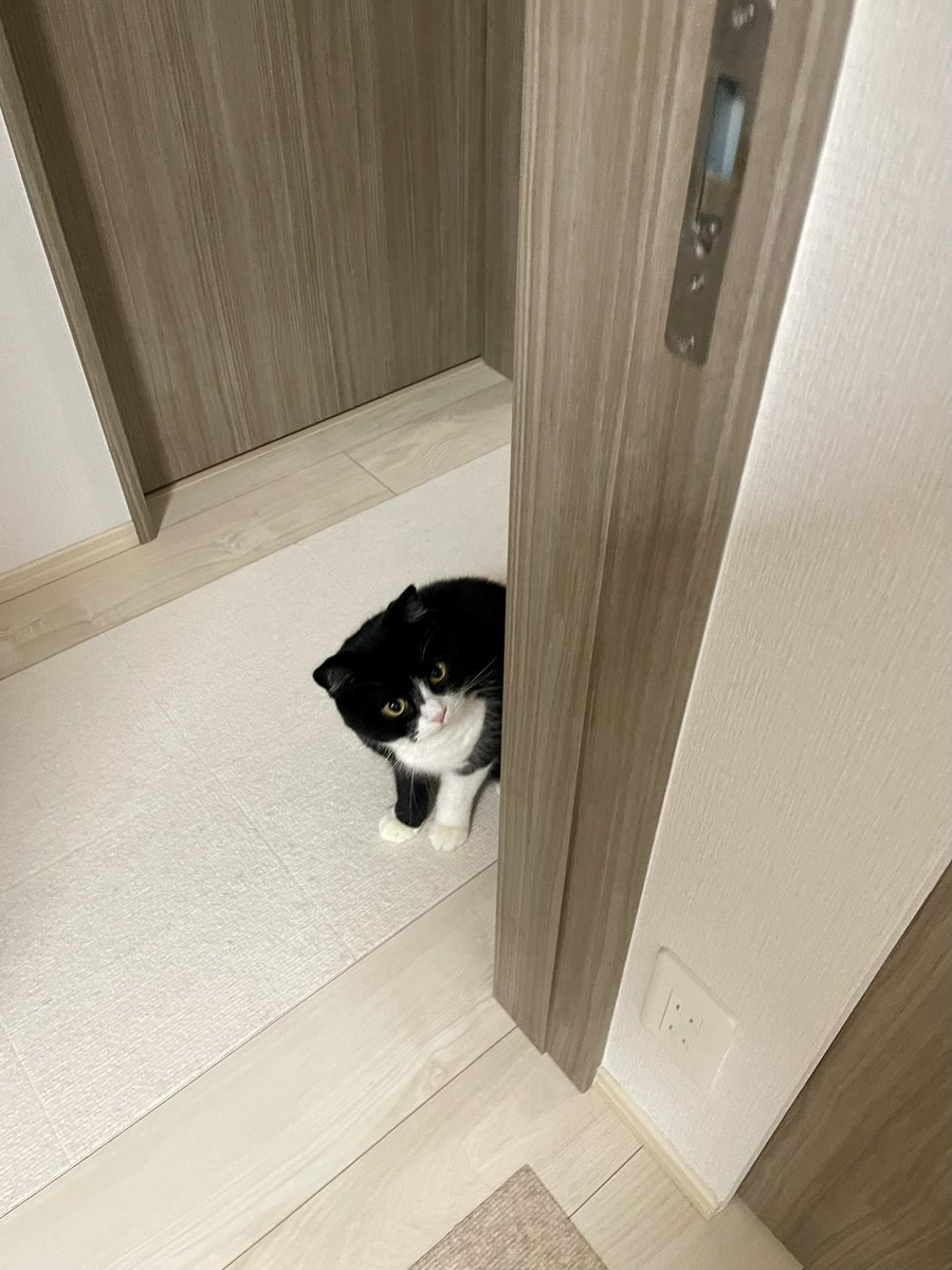 たろう (@taro20216) / Posts / X