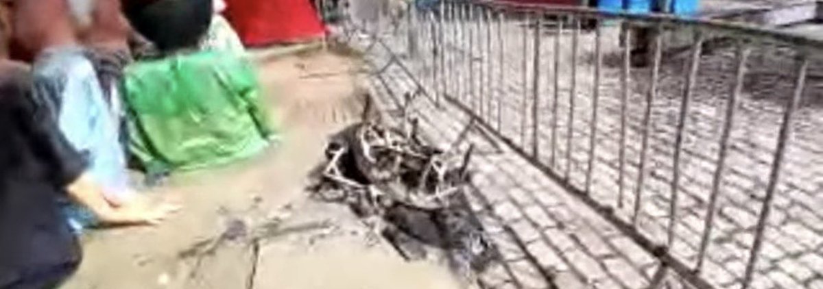 Raphael Faraco tweet media