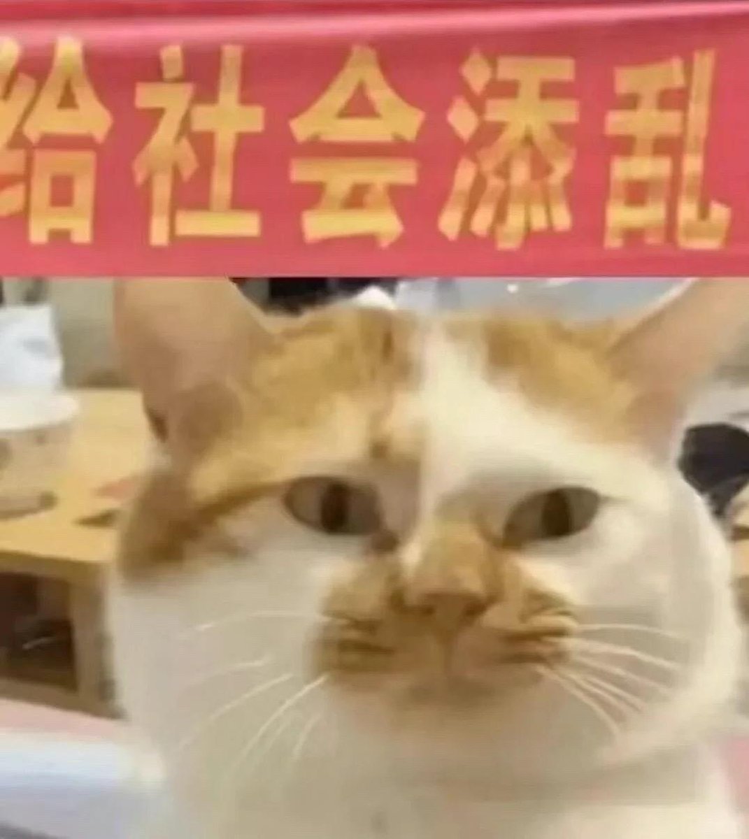 maomisansa's tweet photo. @gagwoman9 那妹妹 看电影的话可以叫我一下吗 https://t.co/703OGAjYfv