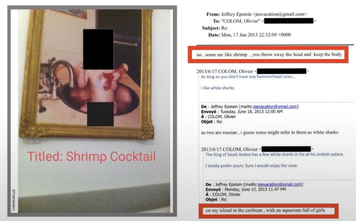 "Son como las gambas, se les arranca la cabeza y te quedas con el cuerpo".

Esto decía el pederasta de Epstein al empresario francés Olivier Colom, asesor entre 2007 y 2012 de Nicolas Sarkozy y consejero actual del G20/G8, en uno de sus correos sobre las niñas que violaba.