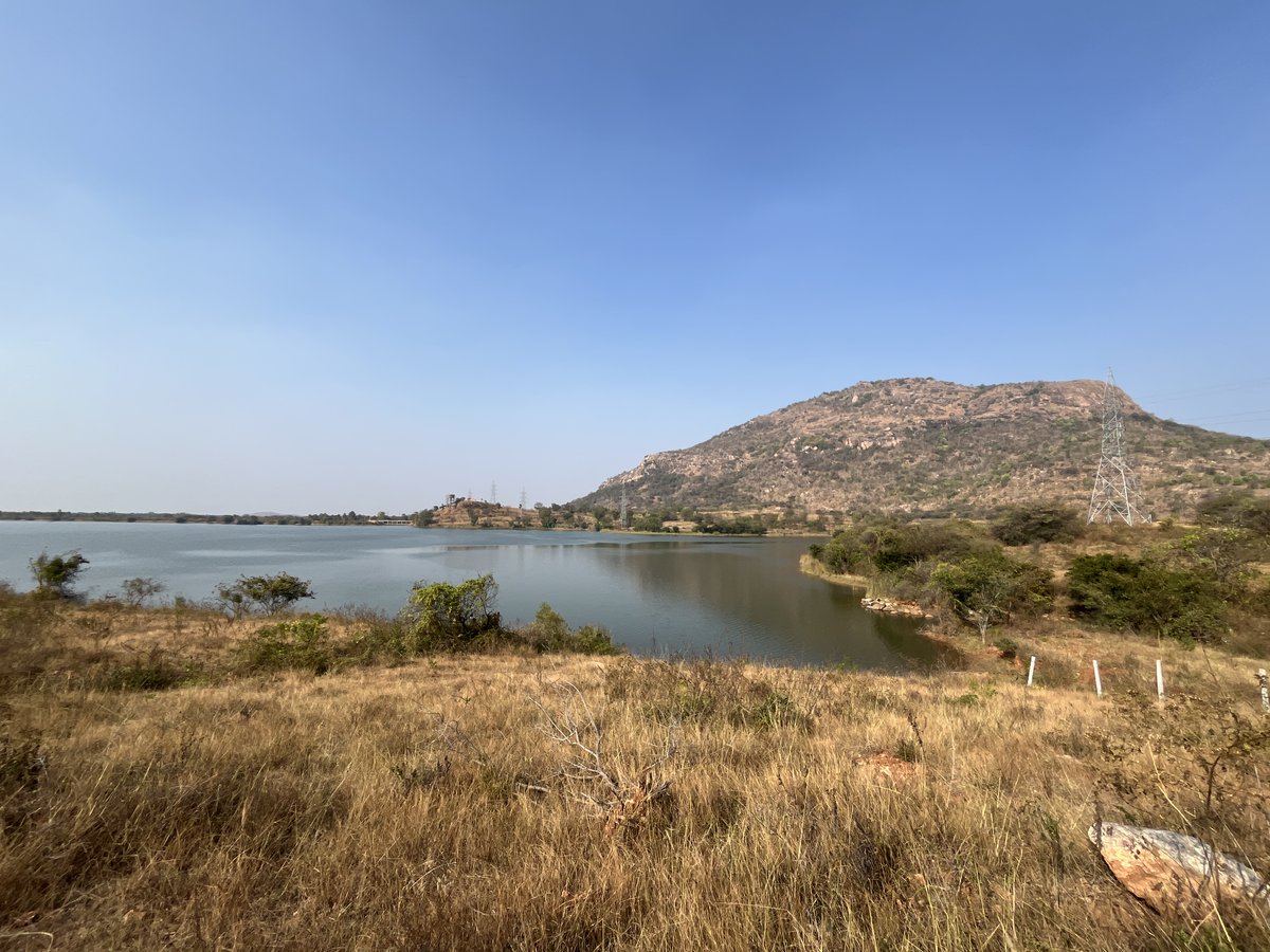 shreshth mohan tweet media