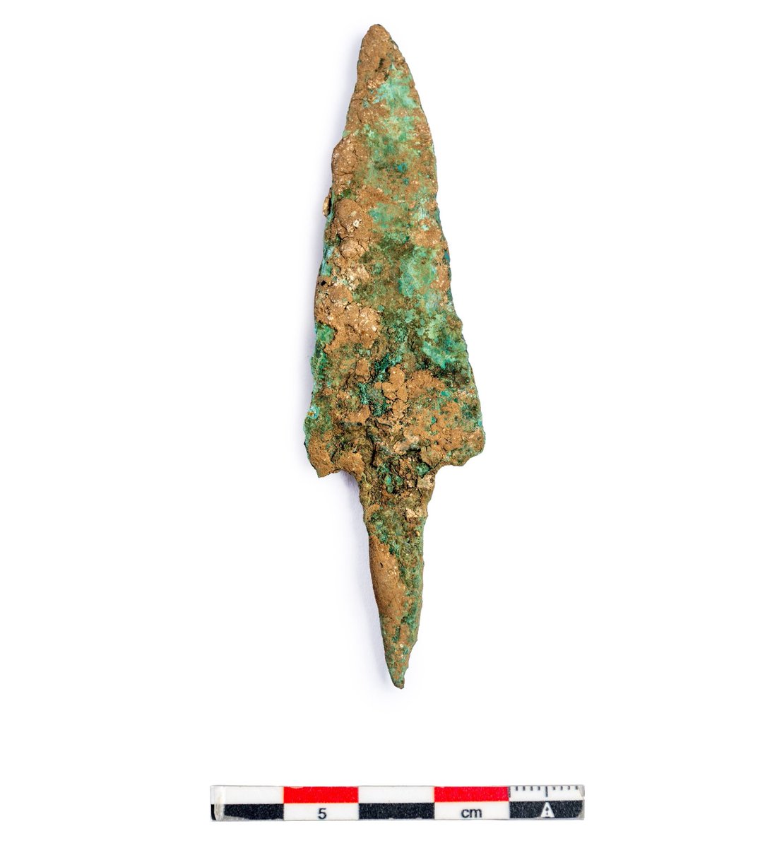 🦴| Duela 4.000 urteko bisonte baten hezurdura aurkitu da Arrafela leizean, Urbasan (Nafarroa).

🏹| Aleak saihetsen artean kobrezko gezi punta bat zuen.

🔬| Baieztatuko balitz, Iberiar penintsulan aurkitutako lehen bisonte europarraren hezurdura litzateke Urbasakoa.