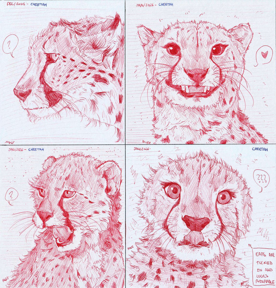 No one asked but I'm giving you more silly drawings.
This time cheetah's since is the animal I draw the most after pandas 🐾