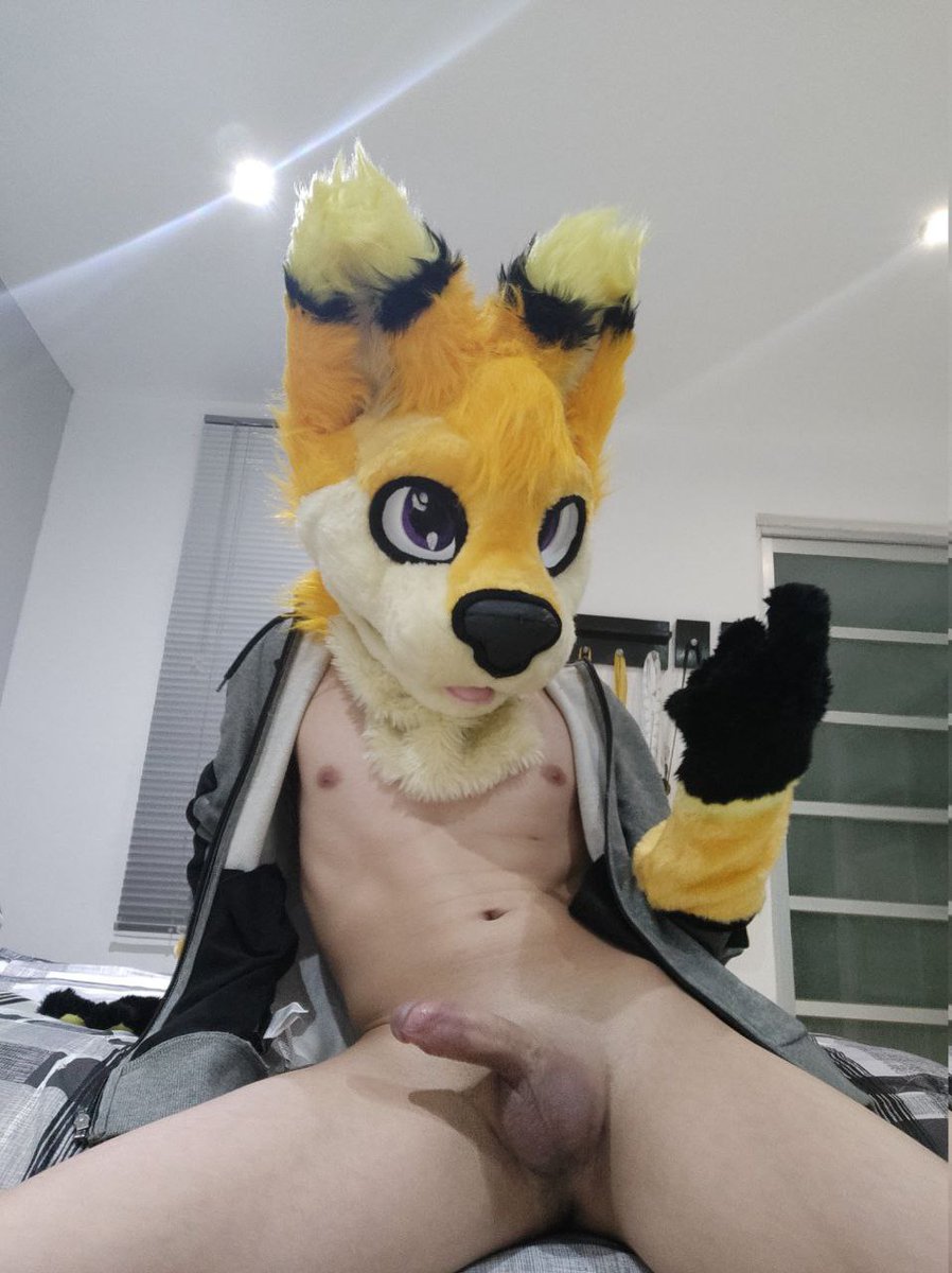 HarFozuAD tweet media