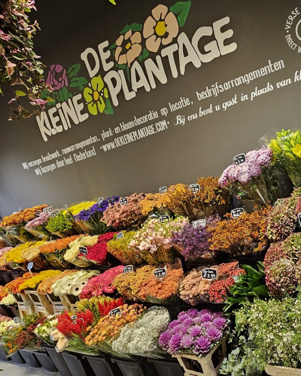 Berkel Centrum tweet media