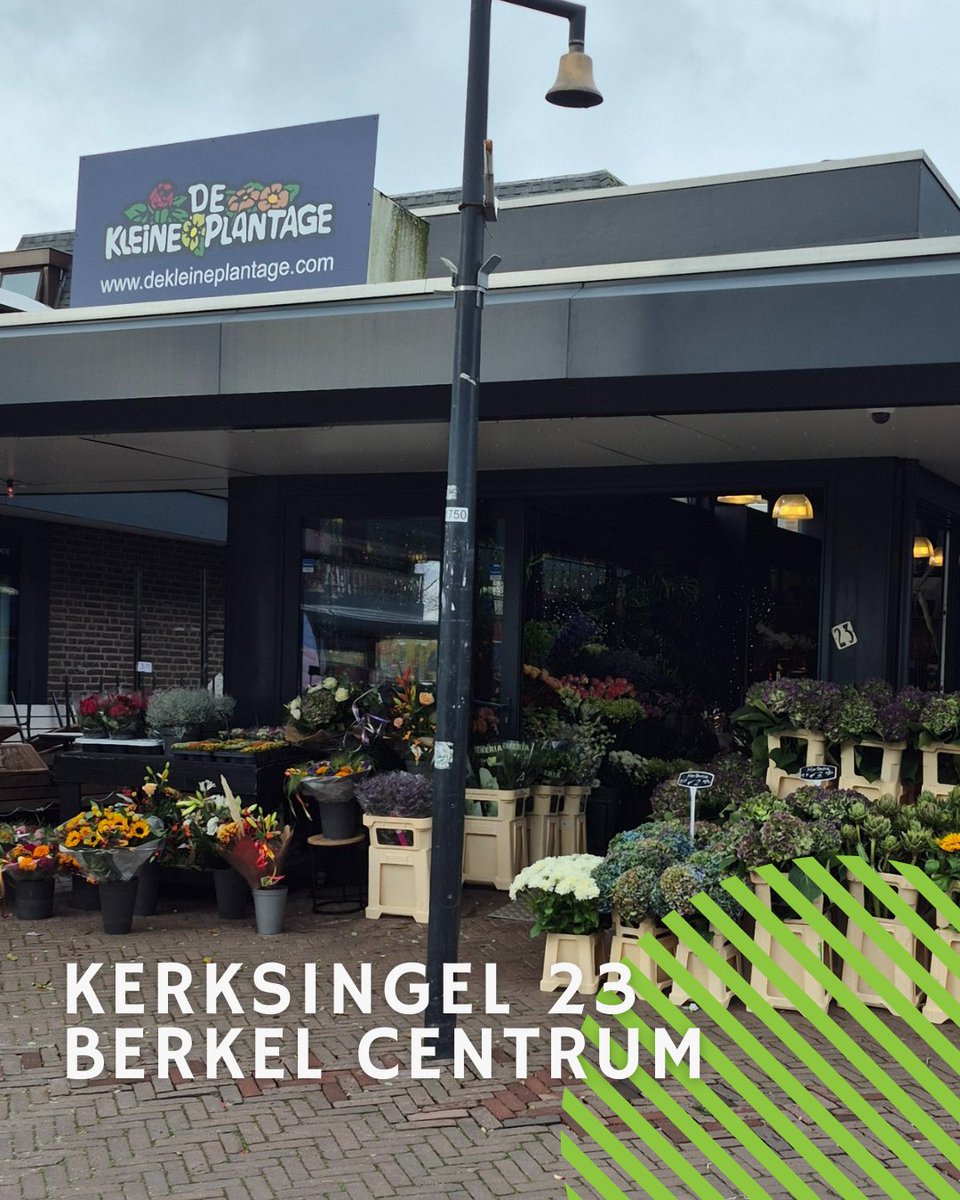 De kleine plantage sinds kort in ons centrum. 🤩

Dé plek voor een ruime keuze aan prachtige planten, bloemen en stijlvolle accessoires voor huis en tuin. Met persoonlijke service en deskundig advies helpen zij je altijd aan de perfecte groene aanwinst. 

✨ Kom langs!