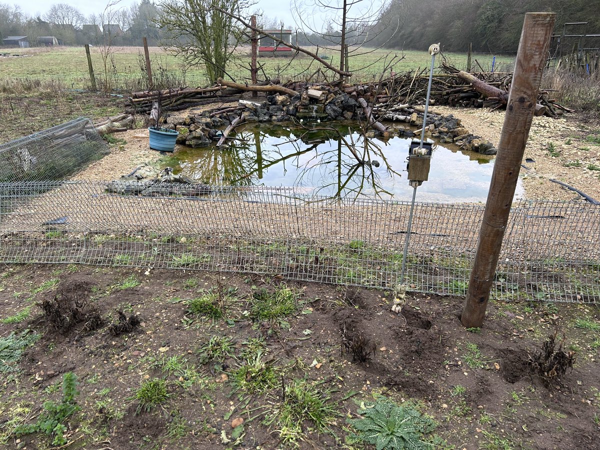 🌱Hello, I'm Mark tweet media