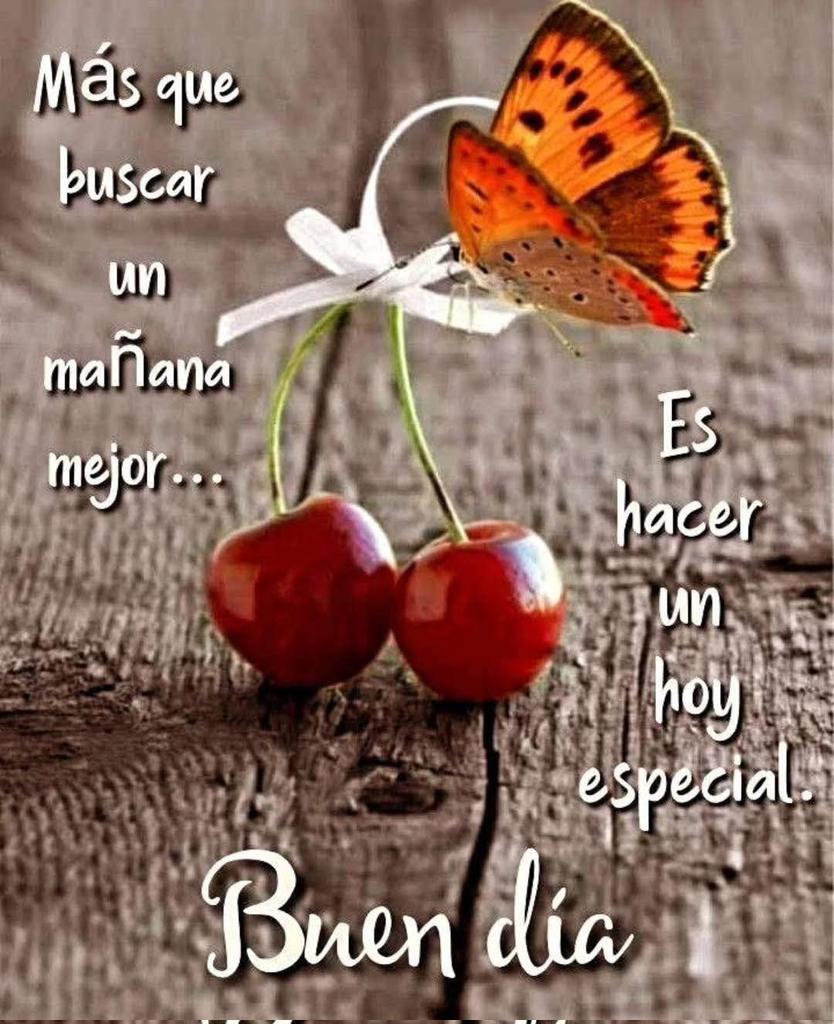 Bon día, feliz inicio de semana.