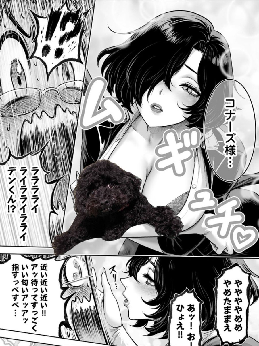 『この犬ときたら孫のことしか考えていない』7話中編が公開になりました。是非ご覧くださいませませ!!#いぬまご

↓無料で読めます↓
https://t.co/Gt1QuA2112 