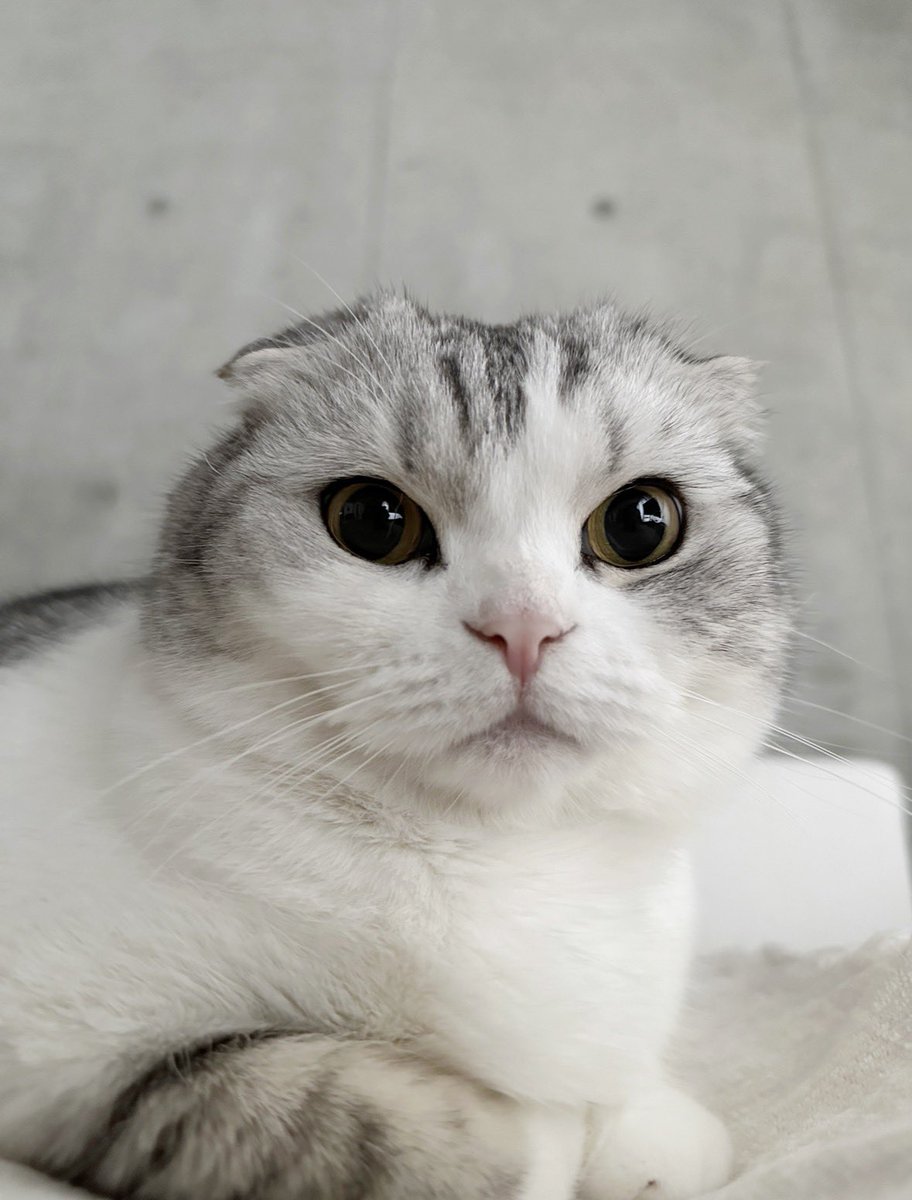きらきら👀✨