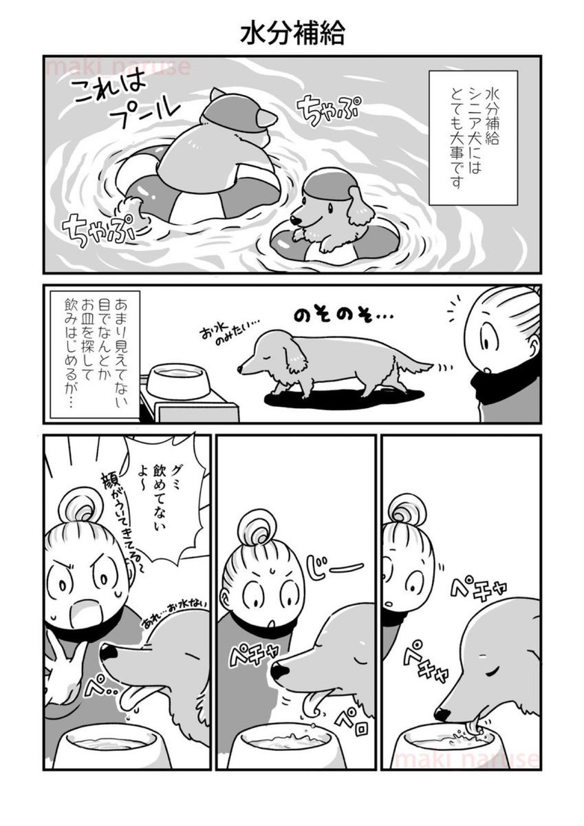 【再掲】「水分補給」(1/2)

最後のページにあるように、晩年はふたりともシリンジでの水分摂取になるのですが…漫画では簡単そうに描いてしまいましたがシニアにとって誤嚥はとても怖いので、シリンジで飲ませる時は細心の注意を払って行ってください。 