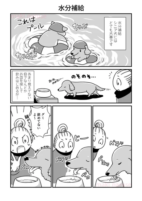 【再掲】「水分補給」(1/2)

最後のページにあるように、晩年はふたりともシリンジでの水分摂取になるのですが…漫画では簡単そうに描いてしまいましたがシニアにとって誤嚥はとても怖いので、シリンジで飲ませる時は細心の注意を払って行ってください。 
