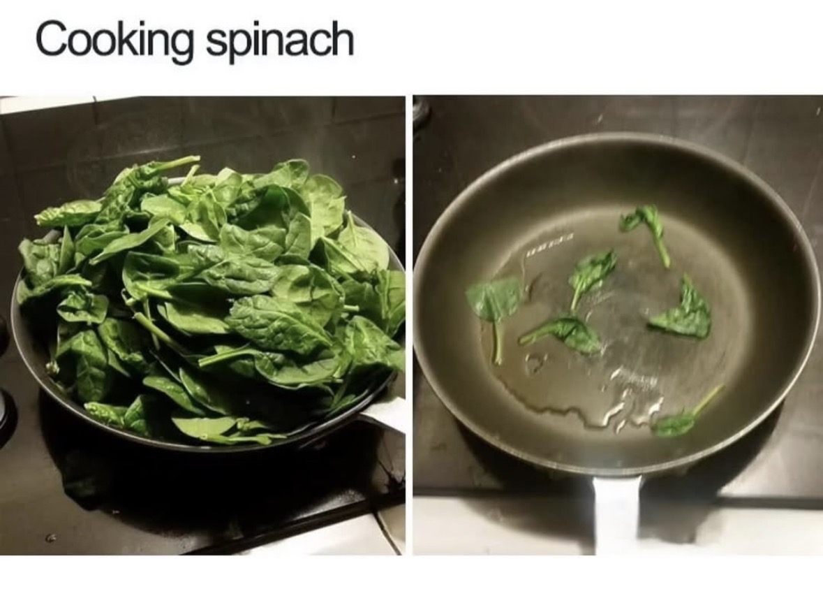 Respectful Memes (@respectfulmemes) on Twitter photo 