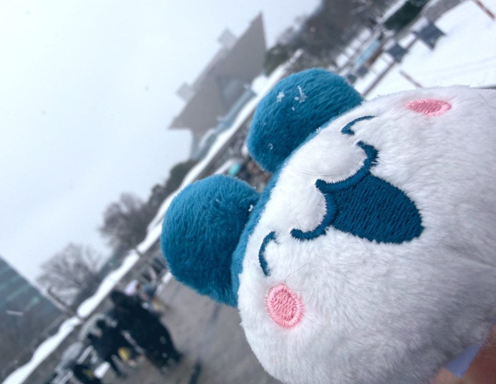 ゆめこ (@yumefrd) / Posts / X