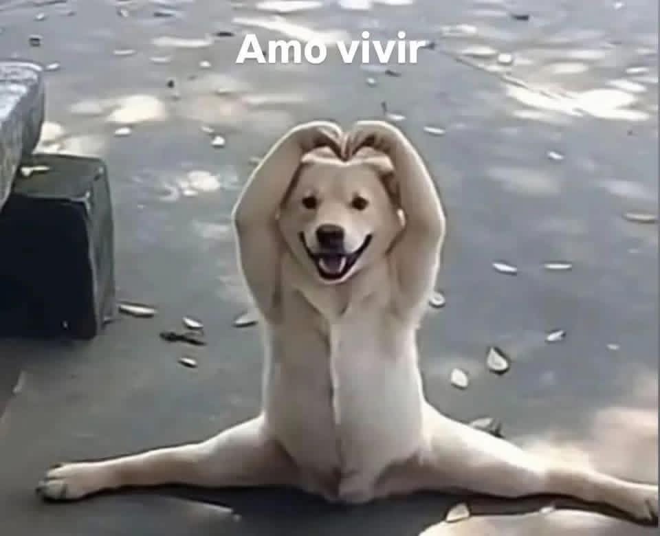 cuando te separas y pensas A QUIEN LE VOY A CONTAR MIS COSAS COTIDIANAS y te querés morir pero resulta que tenes amigos que van a escuchar todo lo que tenes para decir y la vida se convierte en un lugar más habitable