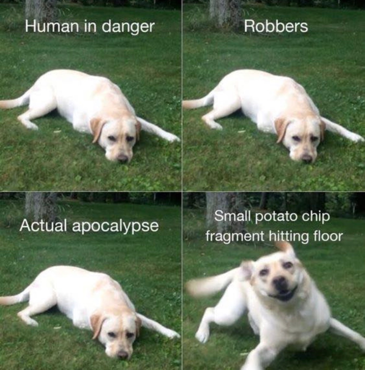 Respectful Memes (@respectfulmemes) on Twitter photo 