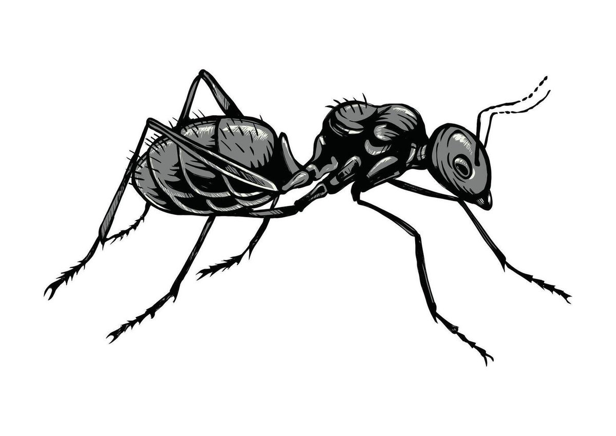 आदमी नहीं चींटी हो तुम
जो आसानी से कहीं भी रौंद दिए जातें हो मार दिए जातें हो डूबा दिए जाते हों
ये महज़ भ्रम है तुम्हारा
कि इतना महान प्रशासन और सरकार एक चींटी को बचाने दौड़ेंगी।