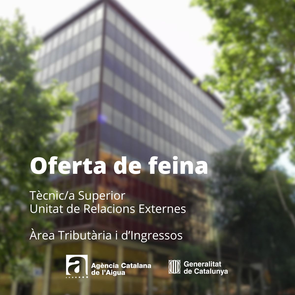 Busquem Tècnic/a Superior per a l’Àrea Tributària de l'<a href="/aigua_cat/">ACA</a> a Barcelona. 💧
💰 34.913,48 €
🎓 ADE / Economia + C1 Català
📅 Fins al 24/02/2026
Tota la info i inscripcions aquí: acanet.gencat.cat/geco/curriculu…