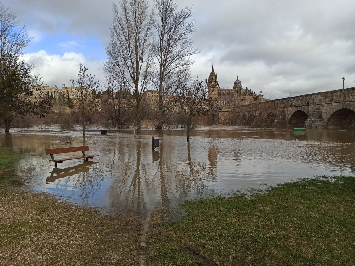 Geolusal's tweet photo. Efectos de las recientes lluvias: la subida del Tormes y afecciones a la estabilidad de estructuras constructivas: un ejemplo de derrumbe lo tenemos bien cercano a la Facultad de Ciencias de Salamanca, en el cerro San Vicente... https://t.co/3jUMfzXqVw