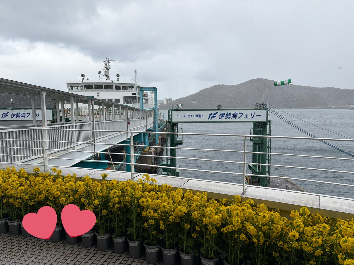 ゆりりん🌾 (@yuririnnomoto) / Posts / X