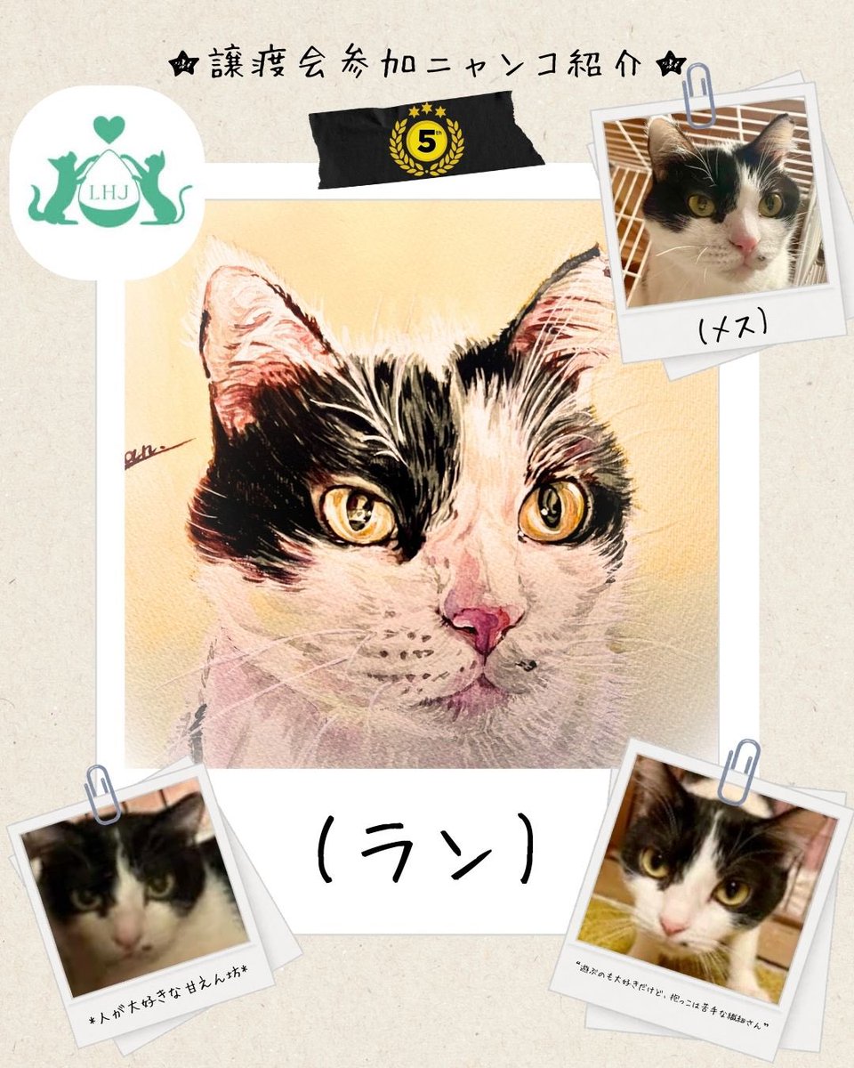 ペット似顔絵】 今回は【譲渡会】に参加するネコちゃんの似顔絵製作