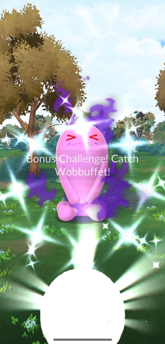 Pokemaster Marcello TL77 tweet media