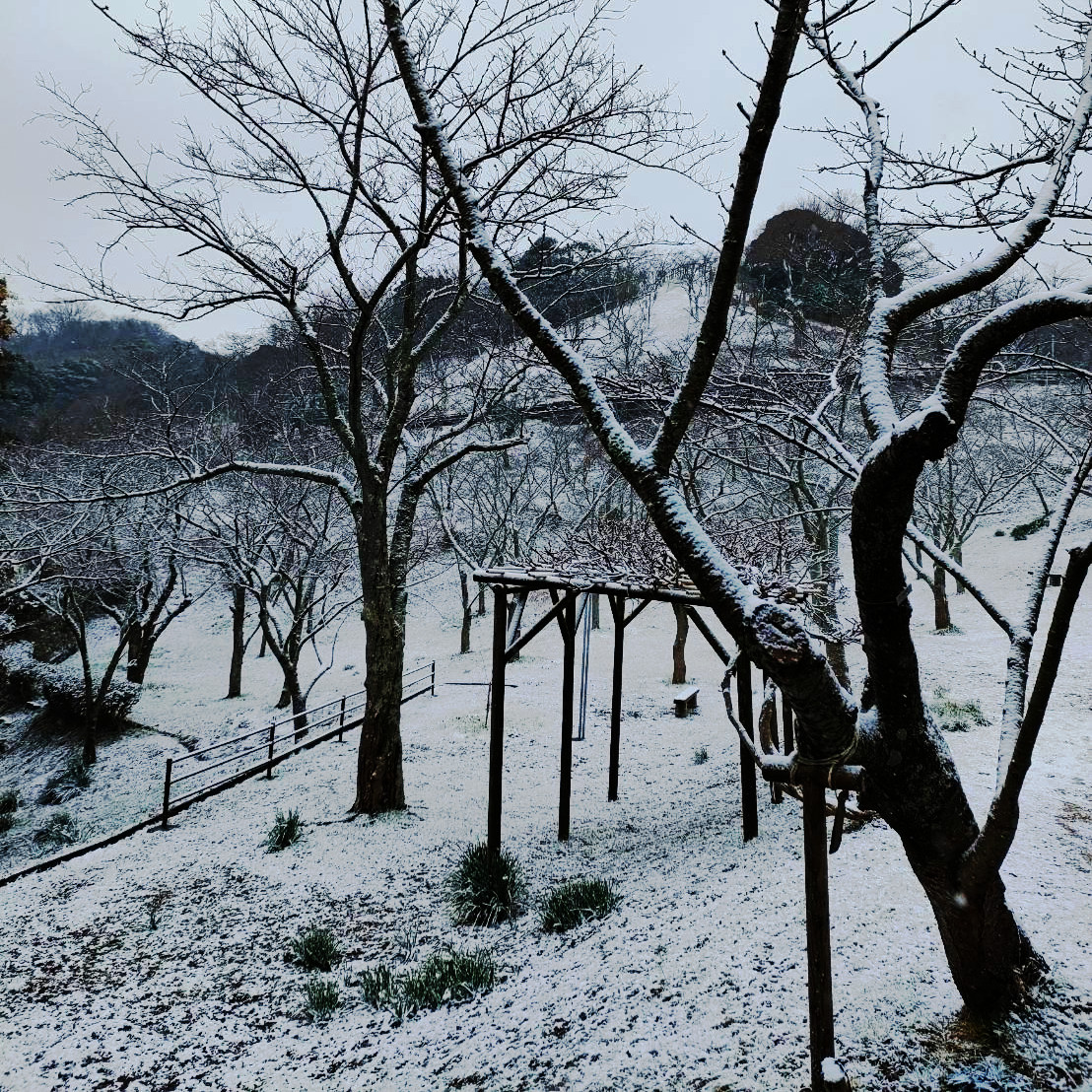 tsukayamapark's tweet photo. 雪化粧した塚山公園。水墨画のような世界です。 https://t.co/GIunOo7qZg