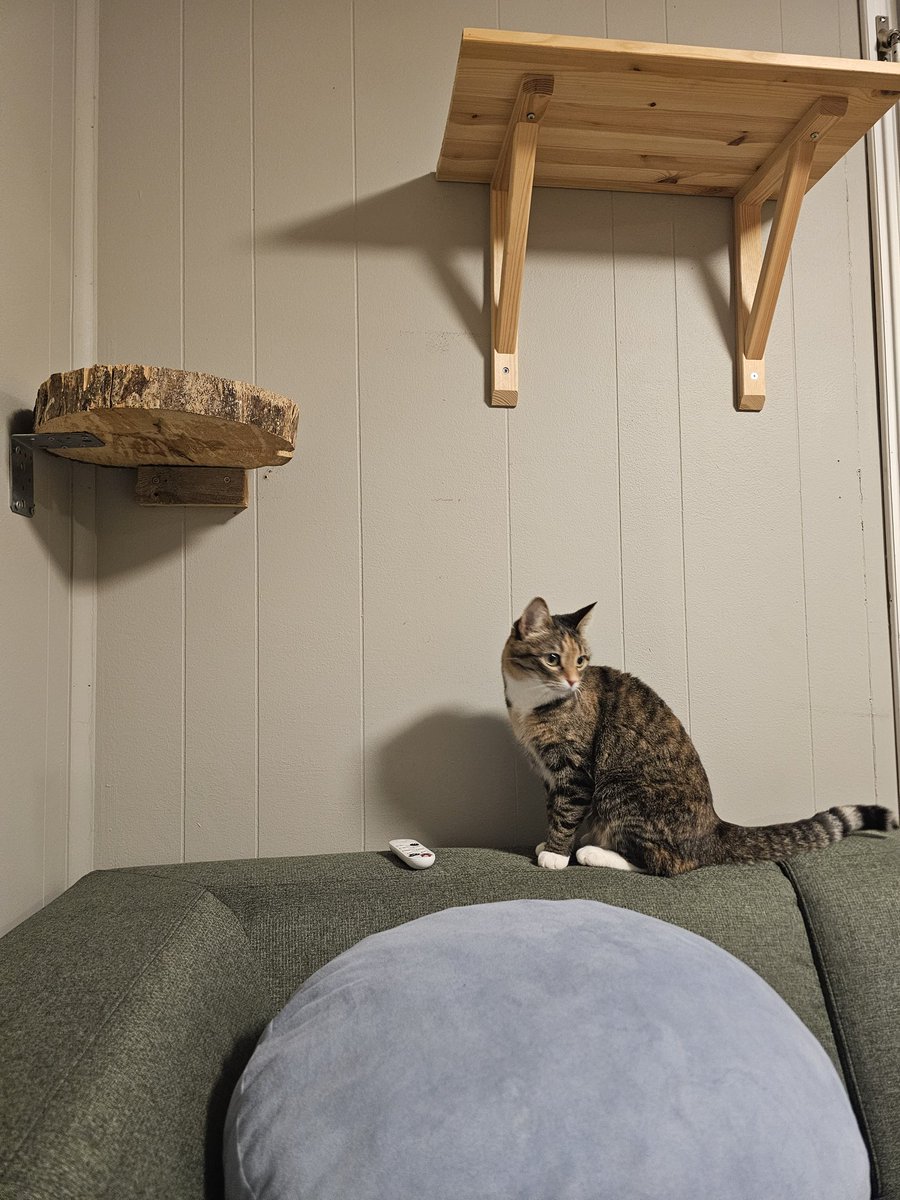 Post by Kazu.net@norway🇳🇴 on X: 模様替えｼﾀｯ！