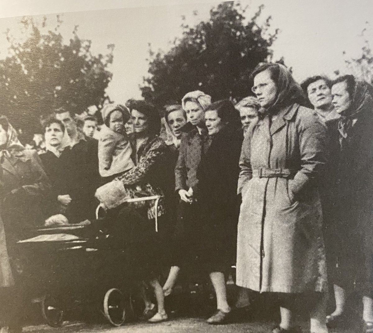 Brian Elliott tweet media