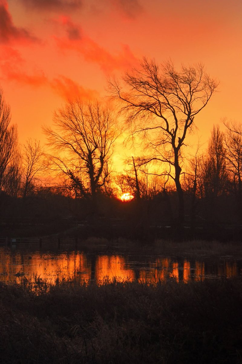 Phill Denson tweet media